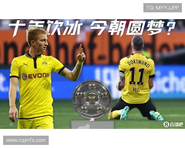 今日趣图：世一卫力劈华山展现十佳球实力曾效力凯尔特人风采依旧