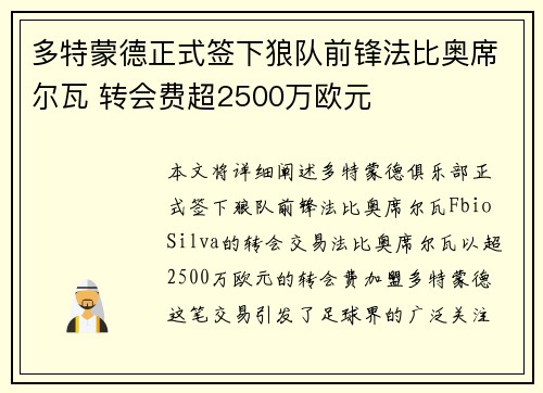 多特蒙德正式签下狼队前锋法比奥席尔瓦 转会费超2500万欧元